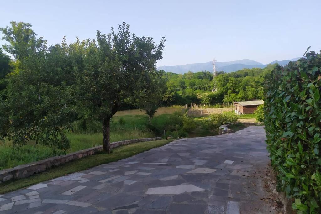 Appartamento Nel Verde Tra Cinque Terre E Versilia Barbarasco المظهر الخارجي الصورة